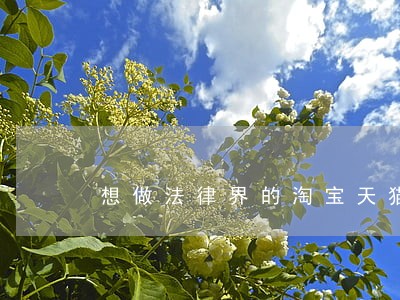想做法律界的淘宝天猫 想做法律界的淘宝天猫
