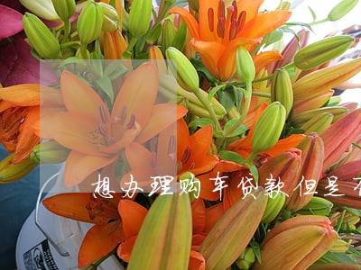 想办理购车贷款但是有过逾期 想办理购车贷款但是有过逾期