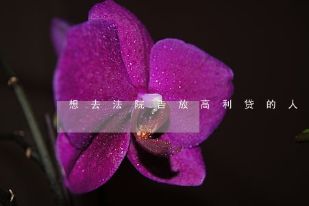 想去法院告放高利贷的人 想去法院告放高利贷的人