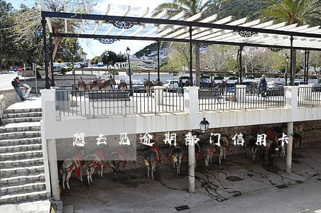 想去见逾期部门信用卡 想去见逾期部门信用卡