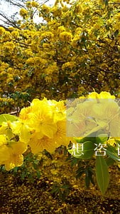 想咨询一下交通事故的法律信息 想咨询一下交通事故的法律信息
