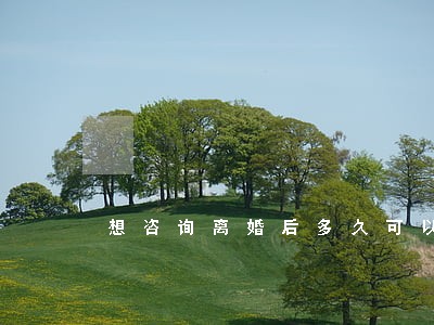 想咨询离婚后多久可以买房 想咨询离婚后多久可以买房