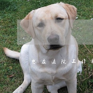 想在法院工作需要读什么大学 想在法院工作需要读什么大学