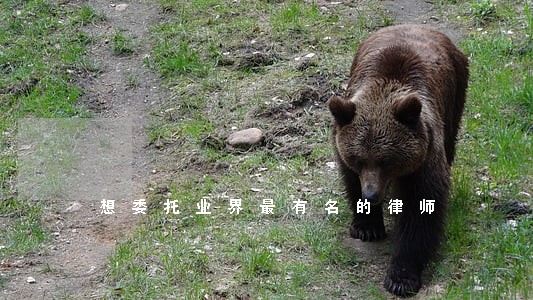 想委托业界最有名的律师