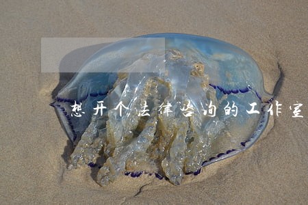 想开个法律咨询的工作室 想开个法律咨询的工作室