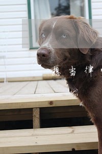 想当律师须先宣誓 想当律师须先宣誓