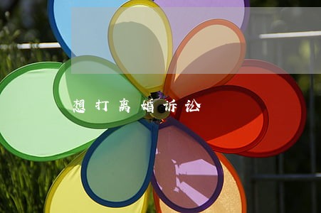 想打离婚诉讼