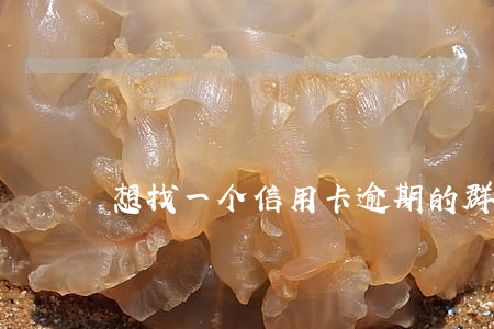 想找一个信用卡逾期的群 想找一个信用卡逾期的群