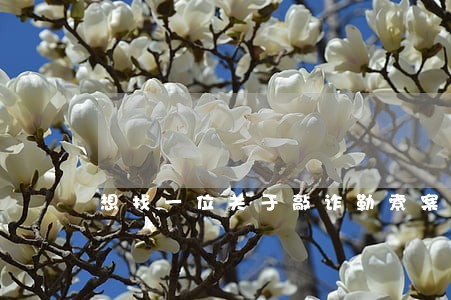 想找一位关于敲诈勒索案件的律师 想找一位关于敲诈勒索案件的律师