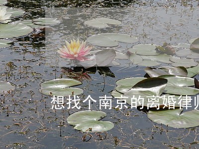想找个南京的离婚律师 想找个南京的离婚律师