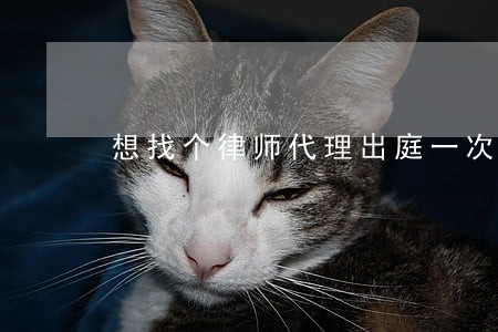 想找个律师代理出庭一次要多少钱