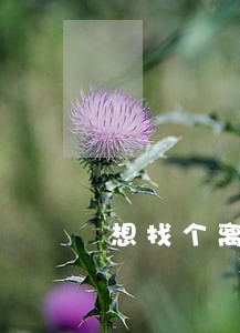 想找个离婚的有钱的女人结婚 想找个离婚的有钱的女人结婚
