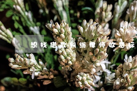 想找借款纠纷律师收费标准 想找借款纠纷律师收费标准