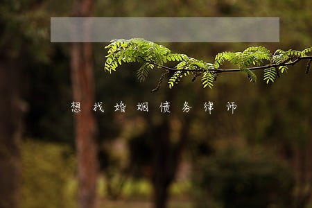 想找婚姻债务律师 想找婚姻债务律师