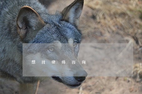 想找律师咨询 想找律师咨询
