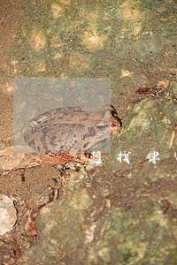 想找律师咨询点房产问题 想找律师咨询点房产问题