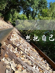 想把自己的房子拿去法院拍卖 想把自己的房子拿去法院拍卖