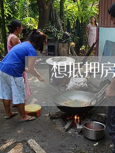 想抵押房产但是有网贷无逾期 想抵押房产但是有网贷无逾期