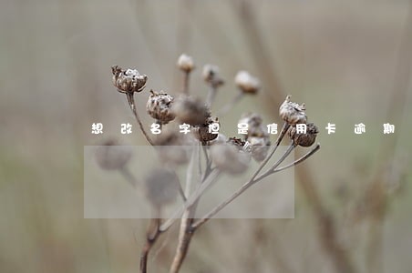 想改名字但是信用卡逾期了 想改名字但是信用卡逾期了