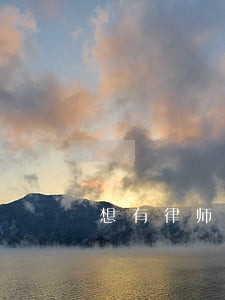 想有律师全权办理