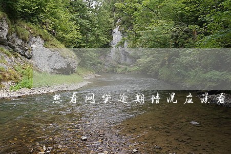 想看网贷逾期情况应该看什么呢 想看网贷逾期情况应该看什么呢