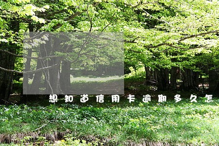 想知道信用卡逾期多久怎么查 想知道信用卡逾期多久怎么查