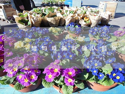 想知道重新确认借款诉讼时效中断 想知道重新确认借款诉讼时效中断