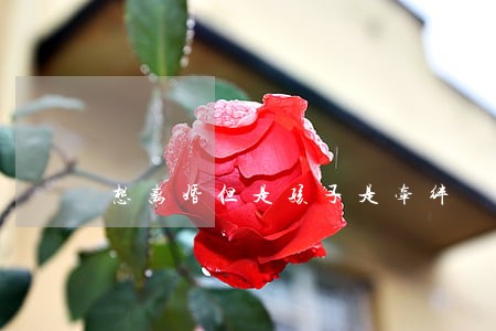 想离婚但是孩子是牵绊 想离婚但是孩子是牵绊