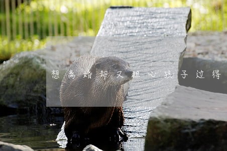 想离婚却又担心孩子过得不好 想离婚却又担心孩子过得不好
