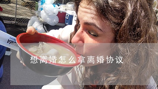 想离婚怎么拿离婚协议 想离婚怎么拿离婚协议