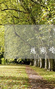 想离婚离婚协议要怎么写