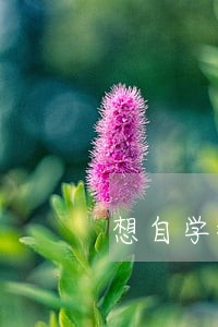 想自学律师证 想自学律师证
