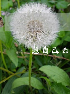 想自己去法院起诉 想自己去法院起诉