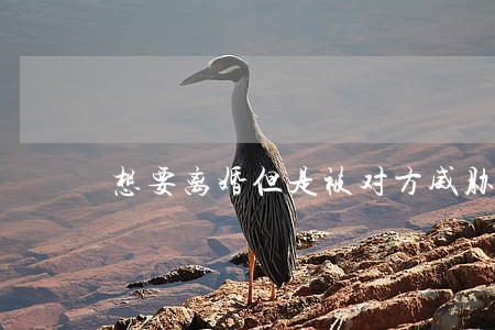 想要离婚但是被对方威胁怎么办 想要离婚但是被对方威胁怎么办