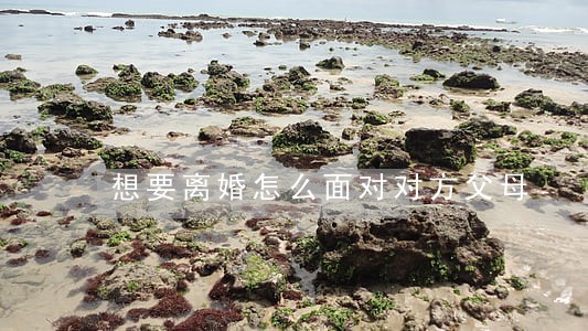 想要离婚怎么面对对方父母 想要离婚怎么面对对方父母
