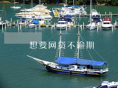想要网贷不逾期 想要网贷不逾期