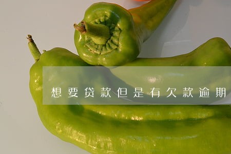 想要贷款但是有欠款逾期记录