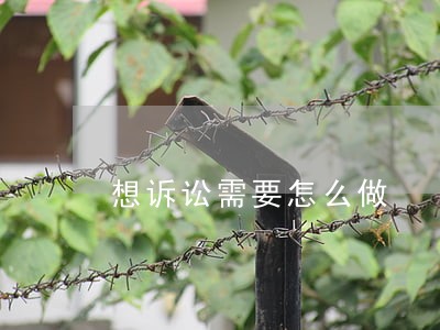 想诉讼需要怎么做 想诉讼需要怎么做