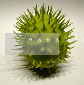 想请劳务合同纠纷律师 想请劳务合同纠纷律师