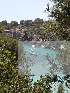 想购法院四轮车