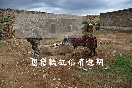 想贷款征信有逾期 想贷款征信有逾期