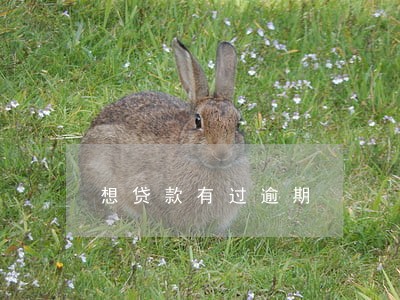 想贷款有过逾期 想贷款有过逾期