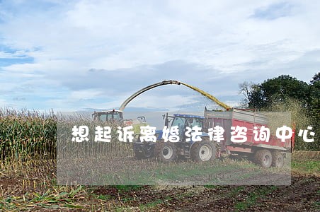 想起诉离婚法律咨询中心 想起诉离婚法律咨询中心