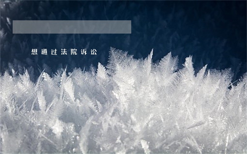 想通过法院诉讼 想通过法院诉讼