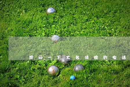 想问一下大名法院的电话 想问一下大名法院的电话
