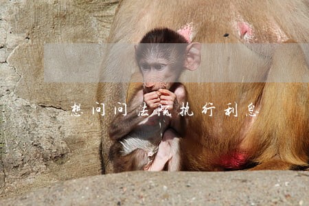 想问问法院执行利息 想问问法院执行利息