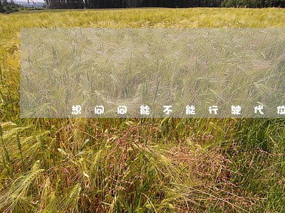 想问问能不能行驶代位权诉讼 想问问能不能行驶代位权诉讼