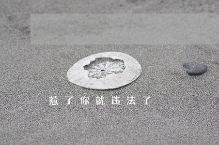 惹了你就违法了 惹了你就违法了