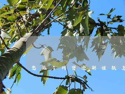 愁死了网贷逾期催款怎么办 愁死了网贷逾期催款怎么办