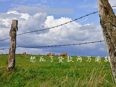 愁死了贷款两万逾期几个月了 愁死了贷款两万逾期几个月了